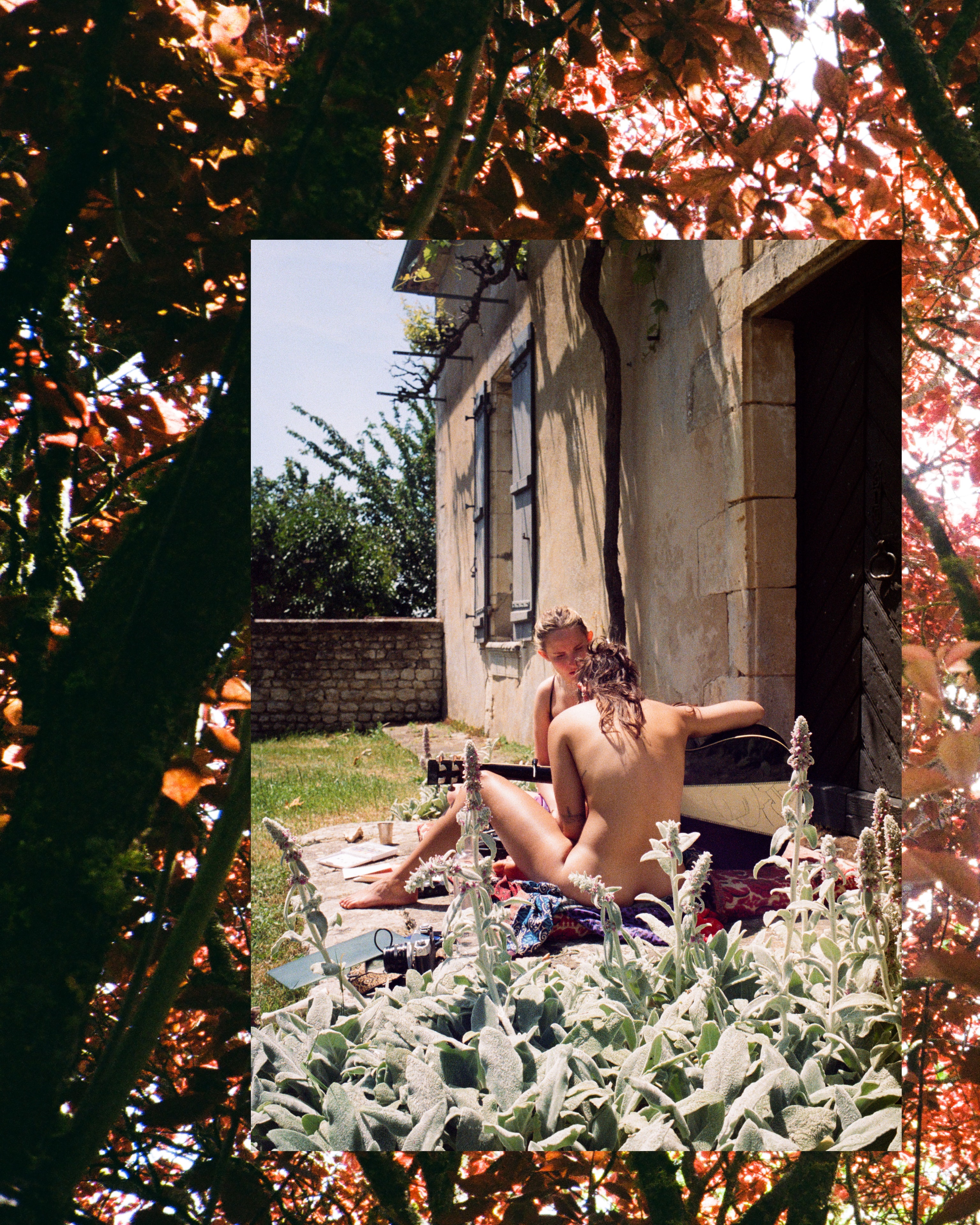 Siena relaxing in overgrown garden doorway — process